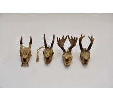 Indischer Mais 70cm 3tlg. poly WW/Soft rosa