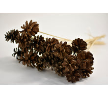 Tannenzapfen o/s 50cm 10Stück Bündel