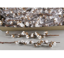 Kerze rustikal 80/60mm Pfirsich