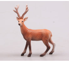 RENTIER POLY NATUR 11X6X15 CM