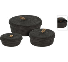 Hortensie Artist dk grün 48cm