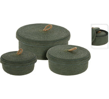 Mimosa Eloise yellow 68cm