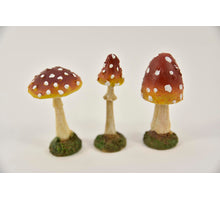 FLESOPENER MDF 4ASS DESSIN