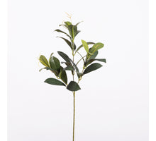 Lorbeerblatt L58cm Grün