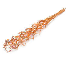 Ranonculus Azura rosa/cremefarben 48cm