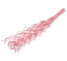 Sedum pick green/red 16cm