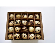 Kwarteleieren Naturel - 60 Stuks