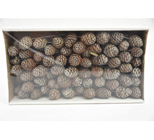 Muirii 10cm steker naturel 100pcs