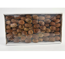 Sabulosum 10cm Probenehmer natur 100Stück