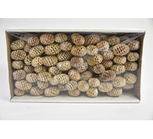 Sabulosum 10cm Probenehmer weiß-wash 90Stück