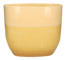 Pflanzgefäß Feiner Steingut Gelb 27x14x24,5cm