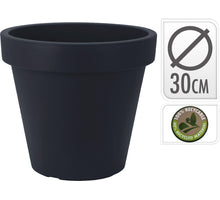 PAPIERWEIDENZWEIG ROSA