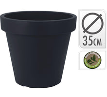 PAPIERWEIDENZWEIG HELLROSA