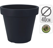 ORCHIDEENBLÄTTER X 3 GRÜN