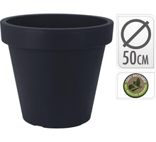 VIBURNUM STEM x 3 CM.70 WHITE