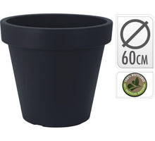 ECHTE BERÜHRUNG PHALAENOPSIS ZWEIG 42CM