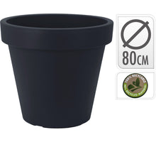 BUNDLE STATICE CM.28 ASSORTED 6 MIXED