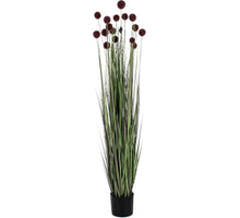Kunstpflanze Gras Pompom 150cm