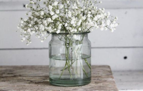 Milchkanne Glas