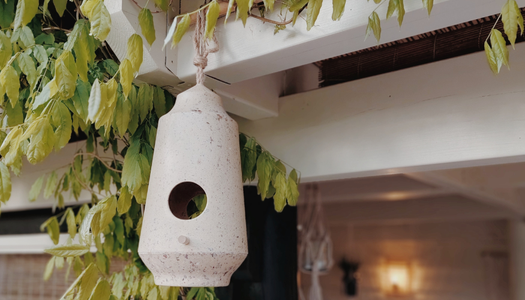 Vogelhäuschen & Futterspender