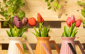 Künstliche Tulpen