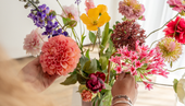 Zijden bloemen