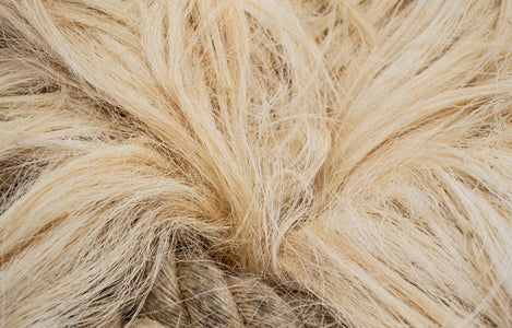 Sisal