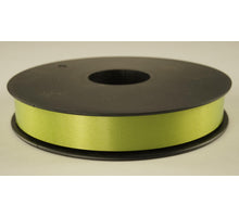PPN LINT 19 MM X 100 M NR. 03 MOSGRÜN