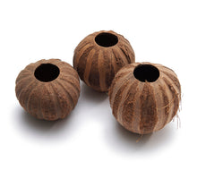 Kokosstreifen natur ±10cm - 5 Stück
