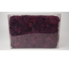 Islandmoos 1kg Brombeere vorbereitet
