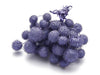 Platanen-Kügelchen, perlmuttartig-violett