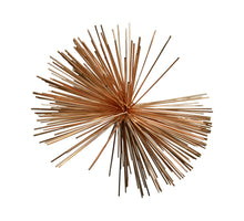 Ster pet brandy D30cm