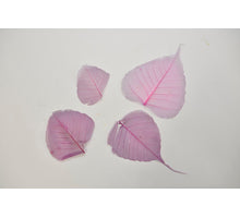 Skeleton leaves lila 200 stuks