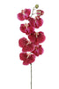 Phalaenopsis l120cm kirschrot