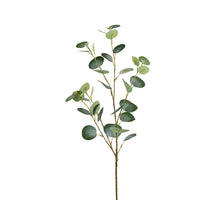 Eukalyptus 180cm grün