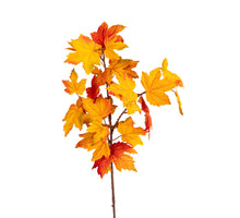 Ahorn 85cm orange