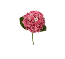 Hortensie 45cm rosa