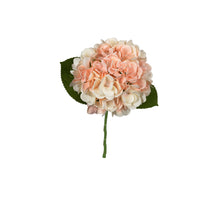 Hortensie 45cm lachsfarben