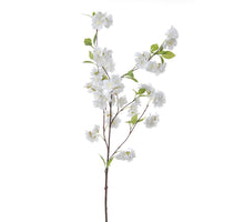 Blüte l88cm weiß