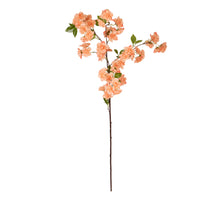 Blossom l88cm lachsfarben