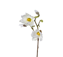 Magnolie 73cm weiß