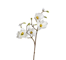 Magnolie 95cm weiß