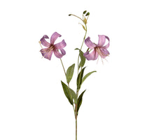 Lelie x2 l77cm lila