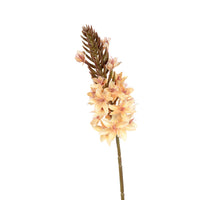 Eremurus l77cm zalm