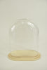 Pokal oval L Klarglas 24x12.5x30cm Holzschale klar