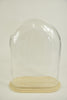 Schale oval XL Klarglas 30x16x40cm Holzschale klar