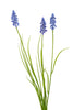 Muscari/gras l70cm blauw