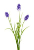 Muscari/gras l70cm paars