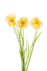 Papaver/gras l70cm geel