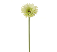 Gerbera l58cm grün